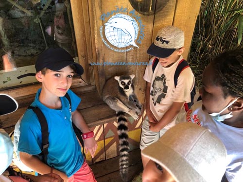 3 enfants caressent un lémurien au zoo La Flèche
